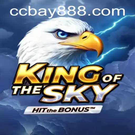KingOfTheSky: Conquering the Virtual Skies with BAY888